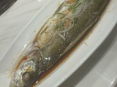 -梅龙镇酒家(南京西路总店)