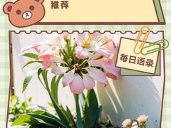 -康道天地(达邦协作广场店)