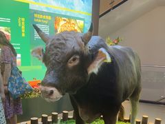 -特克斯八卦城