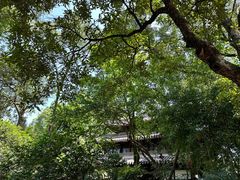 -天一阁博物院