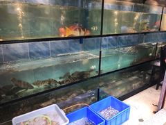 -香港厨房