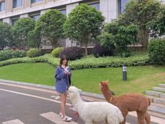 -南宁荔园维景国际酒店·荔园中餐厅