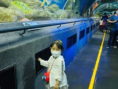 -大连圣亚海洋世界