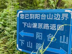 -阳台山自然风景区
