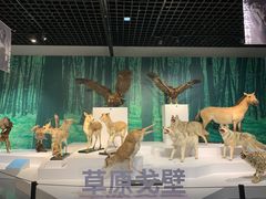 -中国湿地博物馆