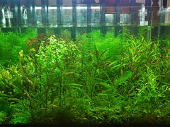 -繁花足道(梅江店)