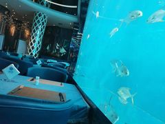 -瑞德姆美人鱼海底演艺主题餐厅(亚龙湾店)