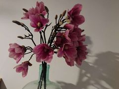 -归觅·西关小姐人文艺术馆(荔枝湾店)