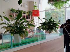 -嘉和一品粥(津华昌道店)