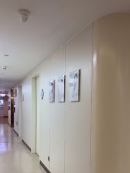 -杭州海亮医院 · 禾芸嘉医美中心