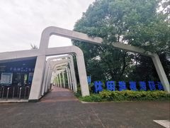 -千岛湖城中湖游船码头