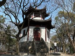 -上海佘山国家森林公园天马山园