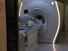 -北京派仕佳德动物医院·超导核磁·CT·神经科·骨科·内外科·急重症管理中心