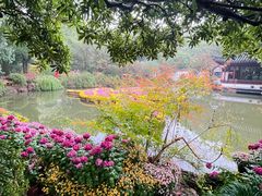 -汇龙潭