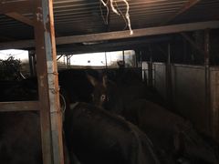 -元鼎宝驴香·全驴宴(江宁店)