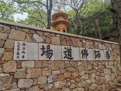 -雨花胜境