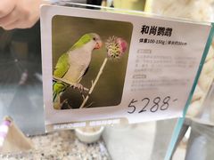 -帕帕拉兹宠物(亚洲旗舰店)