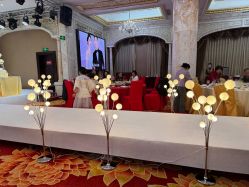 -粤大金融城国际酒店·婚宴·年会·会议