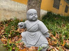 -灵谷景区