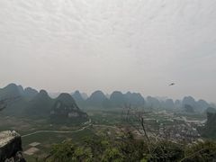 -会仙湿地