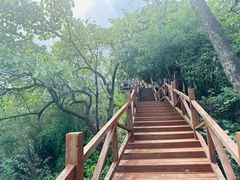 -大岭沟猕猴桃谷风景区