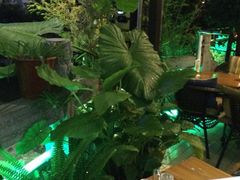 iphone_upload_pic-山色柴火烤披萨·原切牛扒