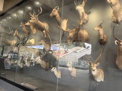 -陕西自然博物馆