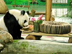 -柳州市动物园
