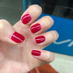 -好看加白色房子