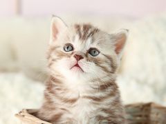 -望湘园·洞庭渔宴(永旺店)