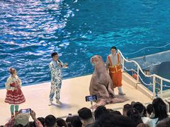-泉城欧乐堡海洋极地世界