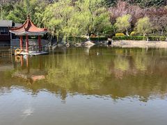 -北岭山森林公园
