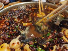 乌鸡-黑竹香鸡(营和巷店)