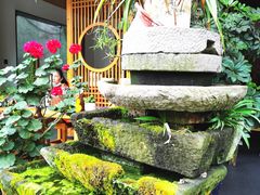 -张醪糟(街子店)