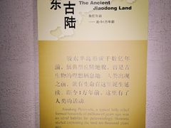 -烟台市博物馆