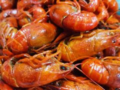 -隆康社长沙烧烤铺(桔园店)