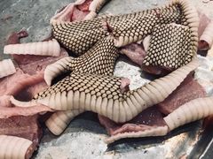 -荔城生鲜盛宴(番禺旗舰店)
