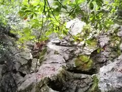 -杭州西湖风景名胜区-三生石