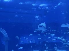 -南昌融创海世界