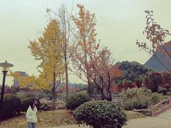 -贵阳市花溪国家城市湿地公园