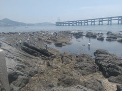 -黑石礁公园