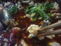 -重庆乌鱼庄·龙滋鲜(青羊大道店)