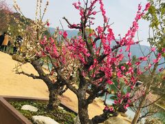 -炎帝陵景区