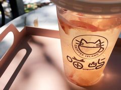 -喵屿·大理花园猫咖