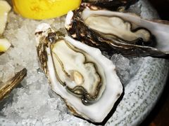 -斯普汇生蚝牛排馆(中骏世界城店)