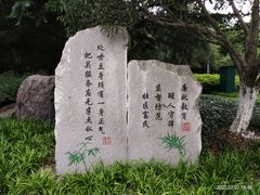 -昆山城市公园