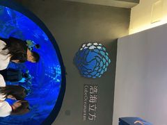 -成都浩海立方海洋公园