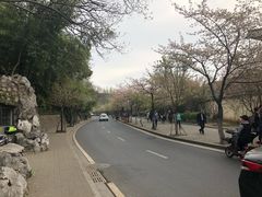 -鸡鸣赐茶(鸡鸣寺路店)