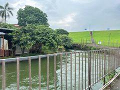 -水库河鲜村