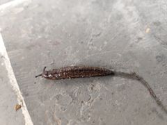 -狼山风景名胜区